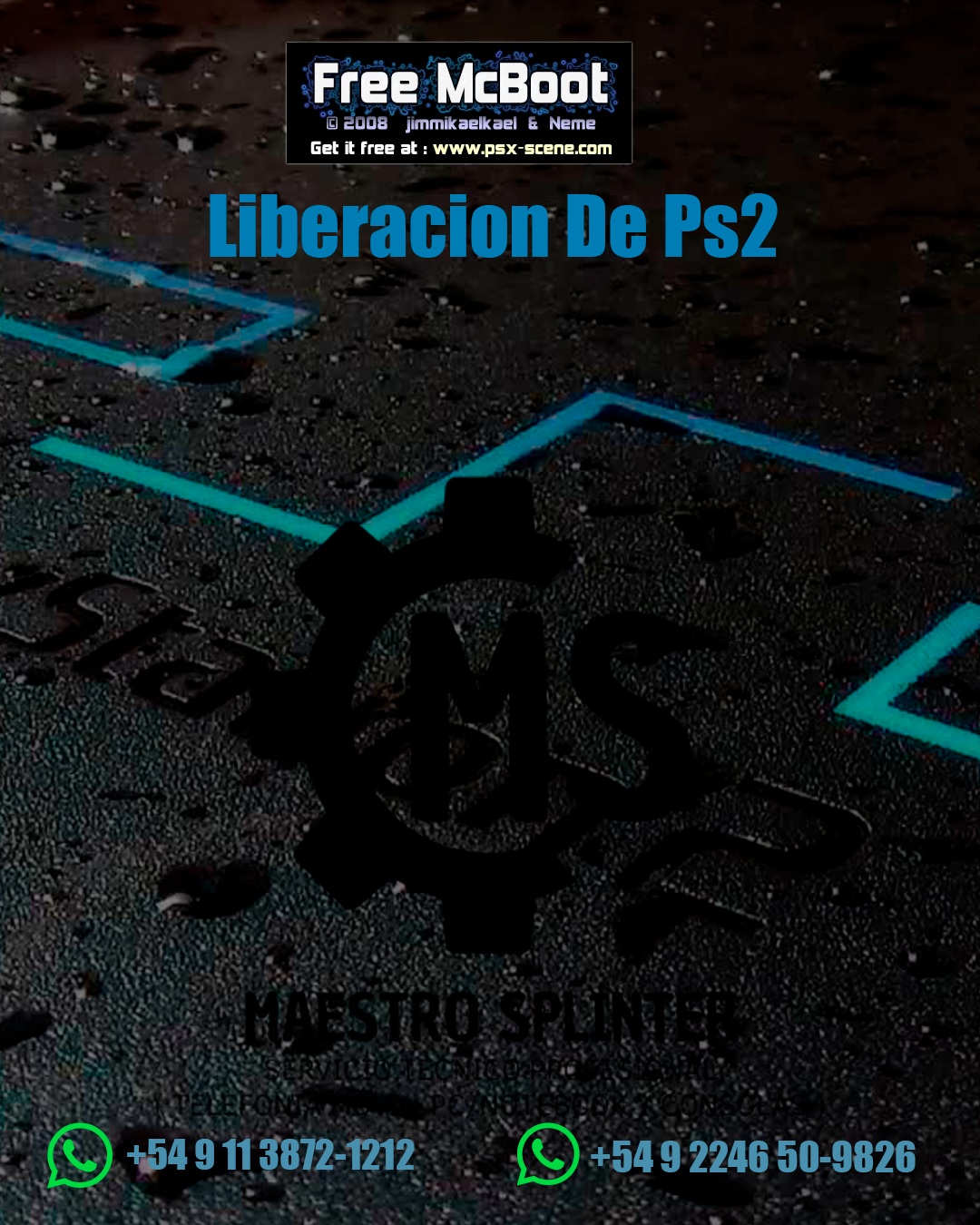Liberacion/Flasheo de PS2